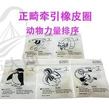 【正畸必看】正畸皮筋型号哪个力量大？松鼠/兔子/狐狸橡皮圈力量排序