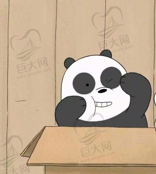 panda