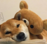 能丆能不理щδ╃