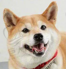 学会☆微笑