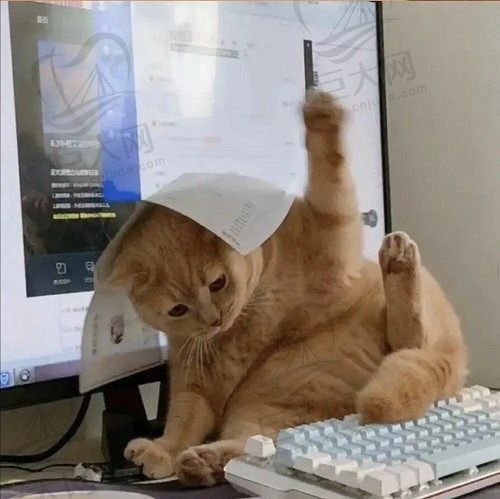 西西