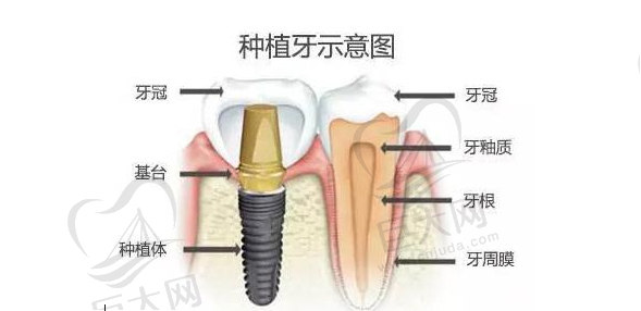 张岩-西安牙动力口腔诊所-医师