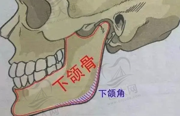 上海下颌角磨骨医生技术