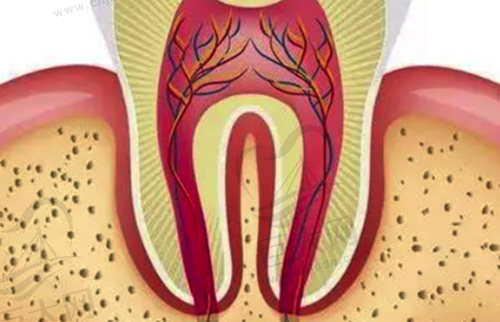 牙神经受损问题出现