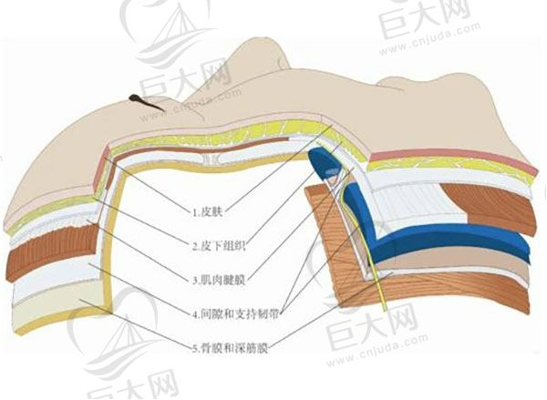 田永成tbm面部提升