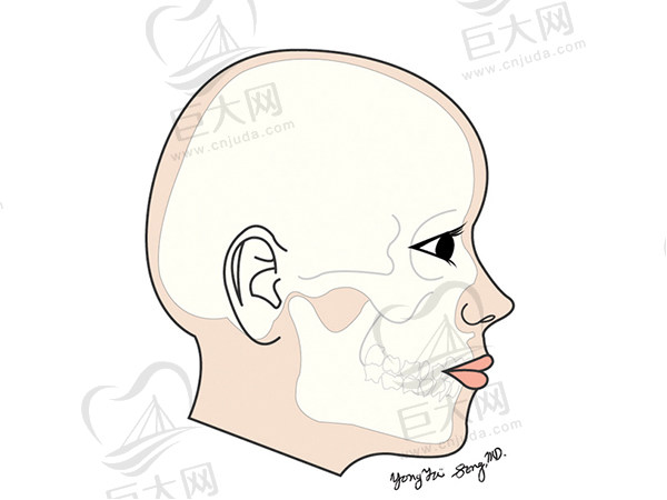 上海时光何晋龙后脑勺填充