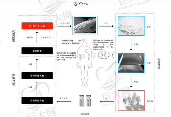 艾维岚童颜 针注射优势 艾维岚童颜 针注射优势