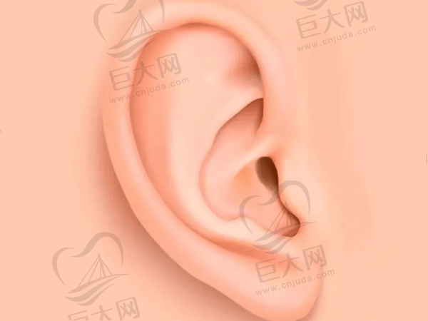 耳部