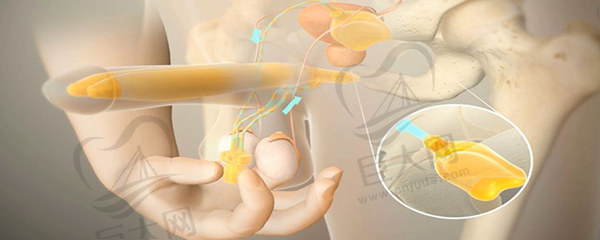 国内男性阴茎延长增粗专 家介绍