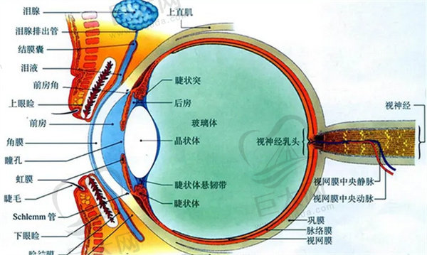 近视加散光可以做激光手术吗？