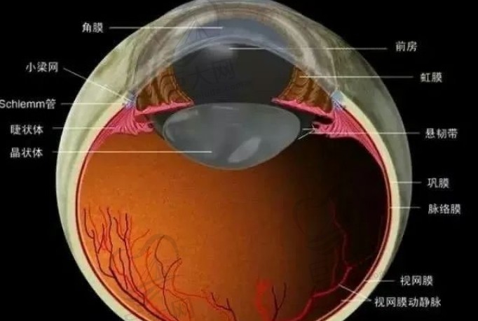 广州积美医疗美容门诊部怎么样？口腔专家信息|下颌角磨骨案例