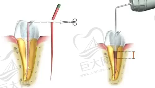 阜阳洁康口腔颍州南路门诊部