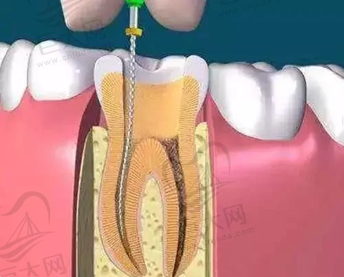 恩施健齿口腔诊所