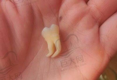 各医院优势解析