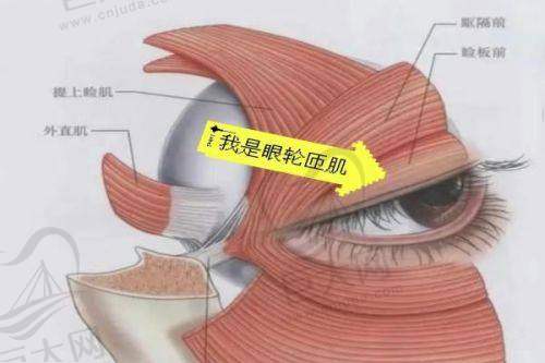 吴贞跃医生馒化脸修复实力概述