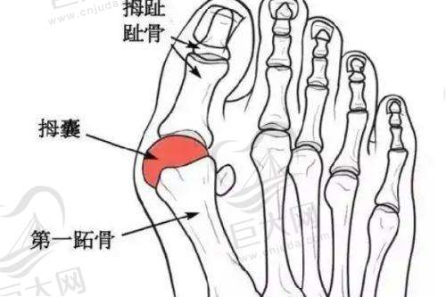 综合参考价格信息