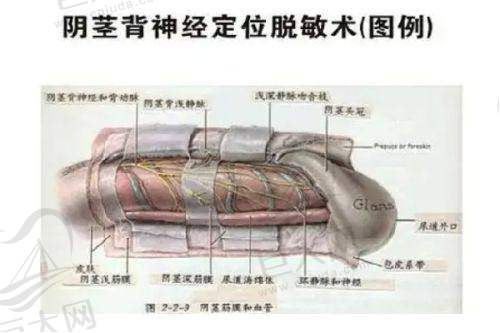 广州高尚医疗美容