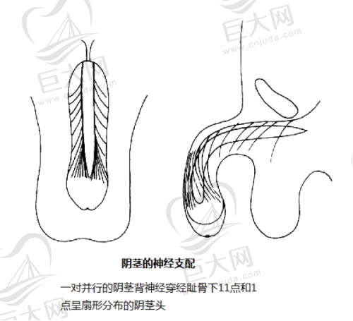 缩小鼻孔手术价格影响因素之个人情况