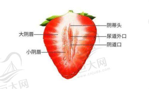 价格与性价比
