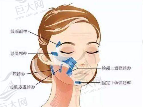 18000元起：高性价比的美丽选择