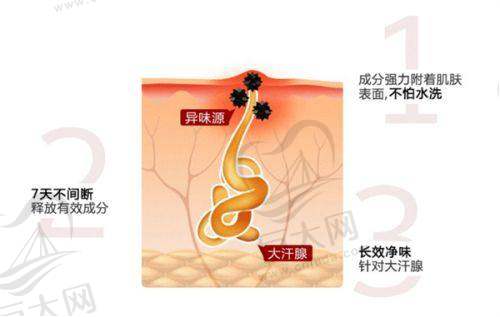 北京禾美嘉医疗美容门诊任学会脂肪隆胸成功实例分享