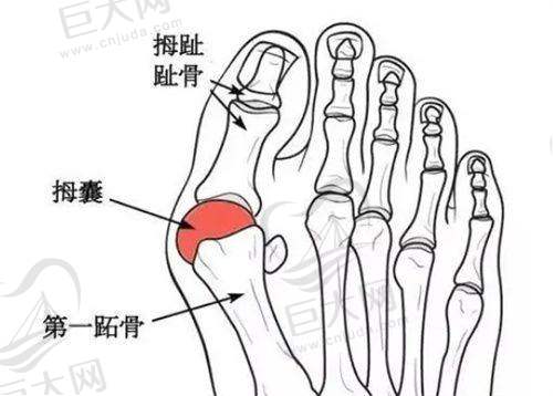特色项目及价格