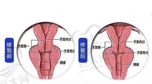 医生团队介绍