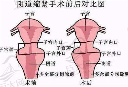 医生团队实力