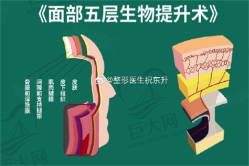 丰富的项目种类