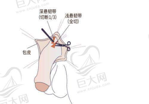 焦作俪人医疗美容诊所的环境与服务