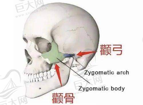 2025新品季项目