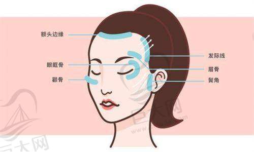 机构特点