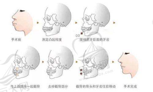 合作交流