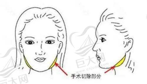 特色项目介绍
