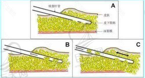 发展历程与未来展望