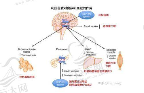 宁德新生植发技术