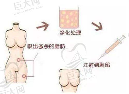 医生团队