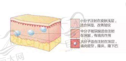 舟山新生植发的优势体现