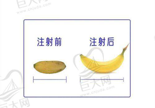 舟山新生植发的服务项目
