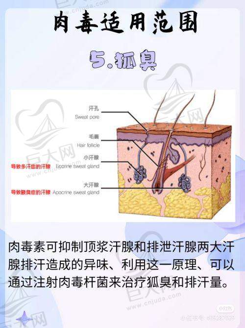 齐全的诊疗项目