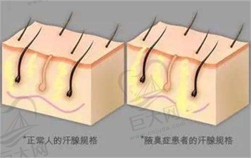 注重美学设计