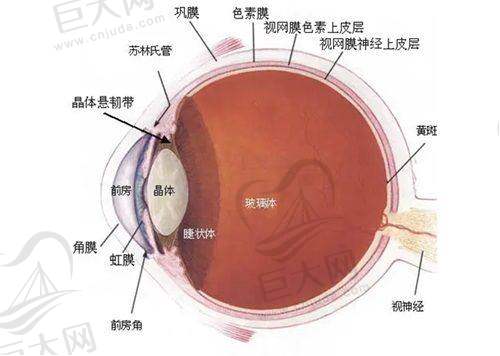 其他上榜眼科医院信息