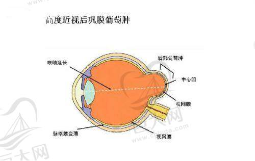 两家医院口碑与影响力对比