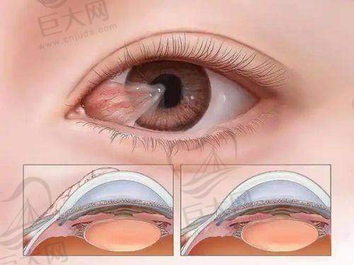 现场预约挂号情况