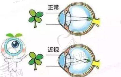 其他出行方式