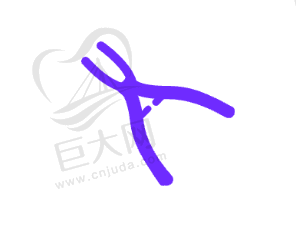 价格详情