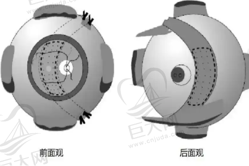 擅长项目介绍