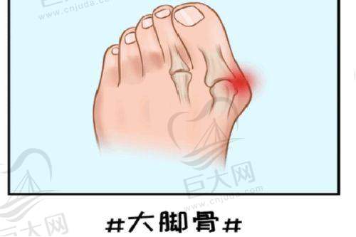 擅长项目多元化