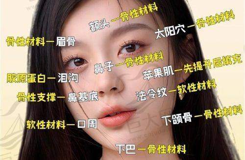 团队实力