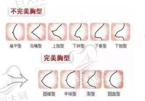 医生介绍
